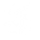 Obedience of Rules skill icon