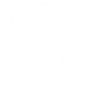 Skybound Feather skill icon