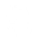 Succor and Smite skill icon